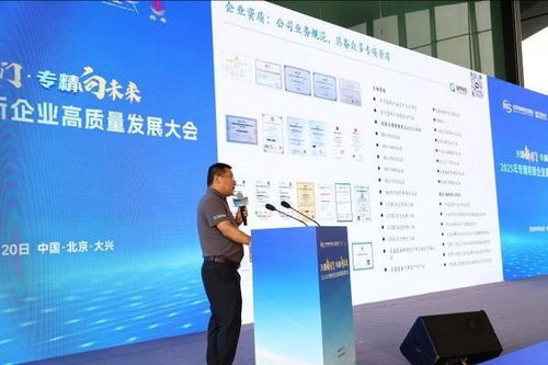 兴聚新国门，专精向未来 2025专精特新企业高质量发展大会在京举行，聚焦信息技术咨询服务新动能